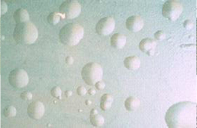 油漆漆膜起泡怎么办-歌丽斯