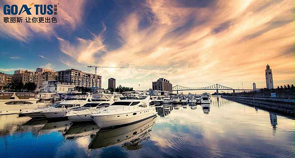 歌丽斯-防腐粉末